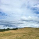 충남목장 | [다녀온곳] 충남 서산 한우목장 웰빙산책로 아이와 함께 개심사까지 방문 후기 주차 정보