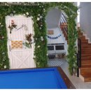 까멜리아 이미지