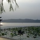서호조경 이미지