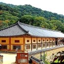 미선사 이미지