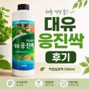 대유 응진싹 500ml 후기, 베란다 텃밭 해충 관리 사용기