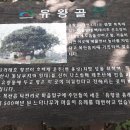 유왕골약수 이미지