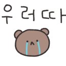 황금카써비스 이미지