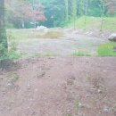 남한산성면-1 Daum카페