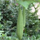 먹고마시고 이미지