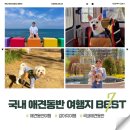 용담마을 | 강아지랑 가기 좋은 국내 애견동반 여행지 BEST 7