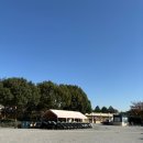 백원랜드 | 상해 디즈니랜드 티켓 가격 꿀팁 dpa없이 평일에 다녀온 후기