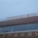 [가평 닭갈비 맛집] 강산골숯불닭갈비 후기🍗 감자전도 강추 메뉴!