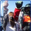 현대낚시 이미지