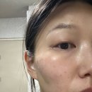 빵굼터(제조) | 벚꽃 안 나오면 섭한 일기
