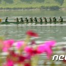 2015 화천산천어 뮤직페스티벌 이미지