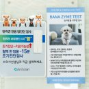 메디펫동물병원 이미지