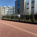 퍼플테라스 이미지