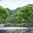 인제 터미널 앞 공원 이미지