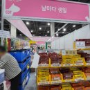 세인트벨 인터내셔날 이미지