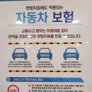 곰돌이한의원 이미지