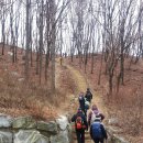 우면산6-13 이미지