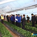 김해세무서 밀양지서 이미지