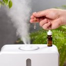 생활 속 힐링 아로마테라피 이미지