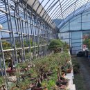 조운농장 이미지