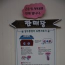 원주곤충마을박물관