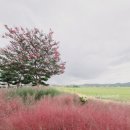 161스튜디오 이미지