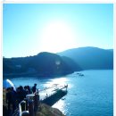 바람의 언덕 이미지