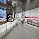 카페와이 이미지