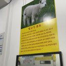 초원샤브샤브뷔페 이미지