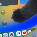 🦁싱가포르 2일차🐧