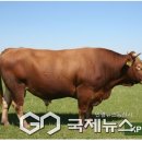 죽포농장 이미지