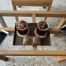 소각(Sogak) | 홍대 두쫀쿠 맛집: 여태 먹은 두쫀쿠 중 1위 드립니다. (주말2시 두쫀쿠 여유있게 먹은후기)