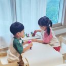 마인포레 이미지