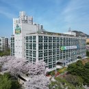 연제네 - 안산시 단원구 광덕대로 154 | 연제네