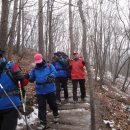 산토끼옹달샘 이미지