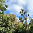 자유에너지(주)가든주유소 | [엄마랑 뉴질랜드 자유여행] 제4화 : 크라이스트처치 보타닉가든, 리버사이드 마켓, 파크앤세이브 장보기