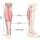 금호스트레칭 네이버블로그
