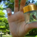 운천초교 병설유치원 이미지