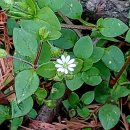 2020-주149 이미지