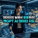 실무엑셀(중급)-챗GPT활용 | 챗GPT ADA로 끝내는 데이터 분석: 전처리부터 시각화까지 실무 가이드