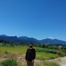 라벤다공인중개사사무소 이미지