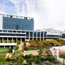 사상구선거관리위원회 국제신문