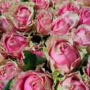 하나농장 이미지