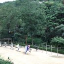 아차산유아숲체험장 네이버블로그
