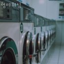 형제워싱 이미지