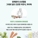 하이독 | 강아지알러지사료 추천 알러컷장어 하이독 강아지장어 화식 후기
