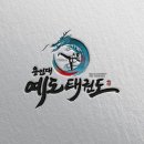 용인대예도태권도 이미지