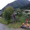 용담문화마을회관 Daum카페