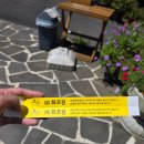 화조원 | 제주 애월 동물원 '화조원' 후기🐦🦜