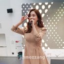 송인라이프